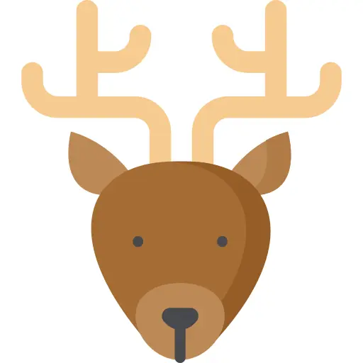 Reindeer