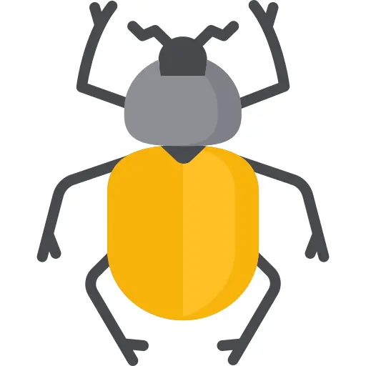 甲虫