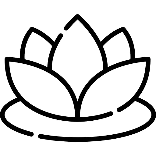 Lotus flower