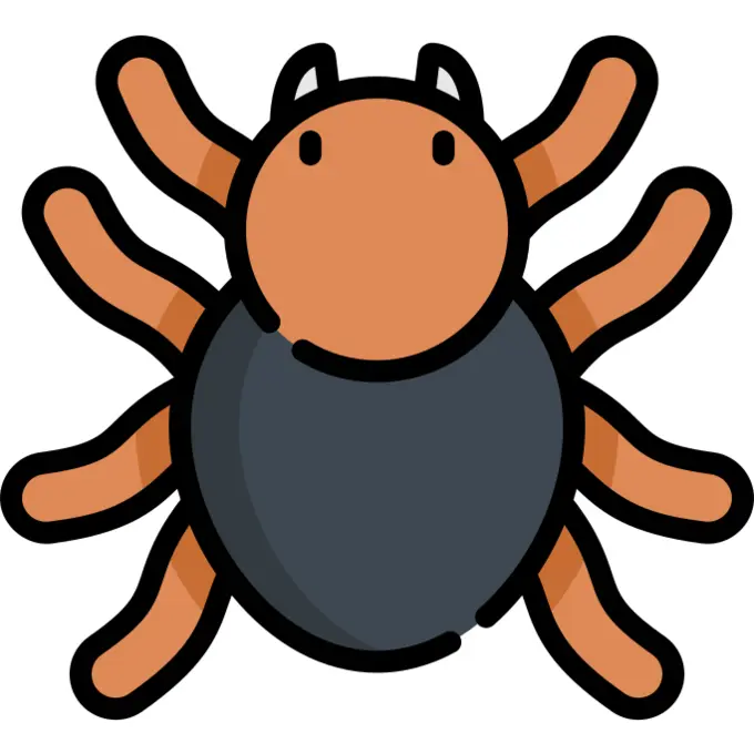 Tarantula