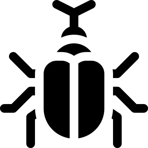 Beetle