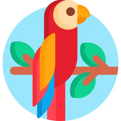 Parrot