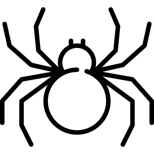 蜘蛛