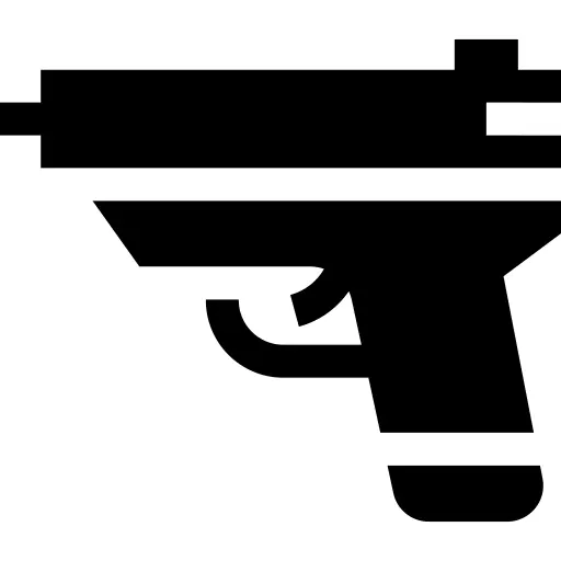 Gun