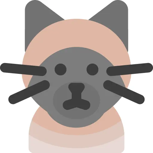 Siamese cat