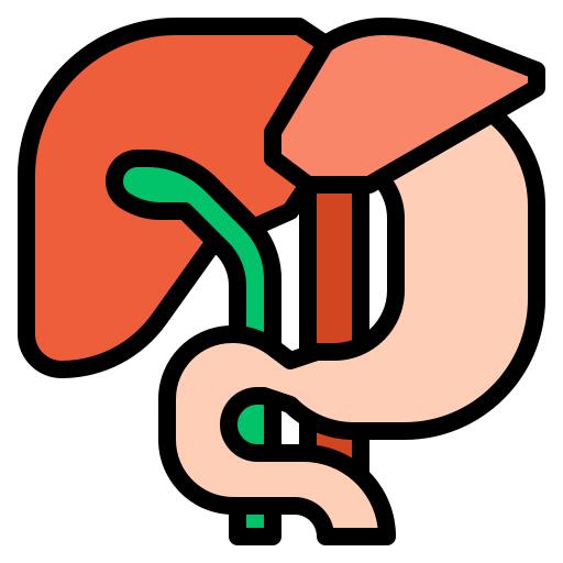 Liver
