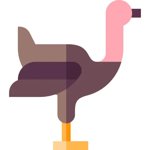 Ostrich