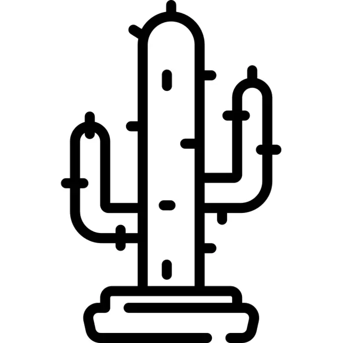 Cactus