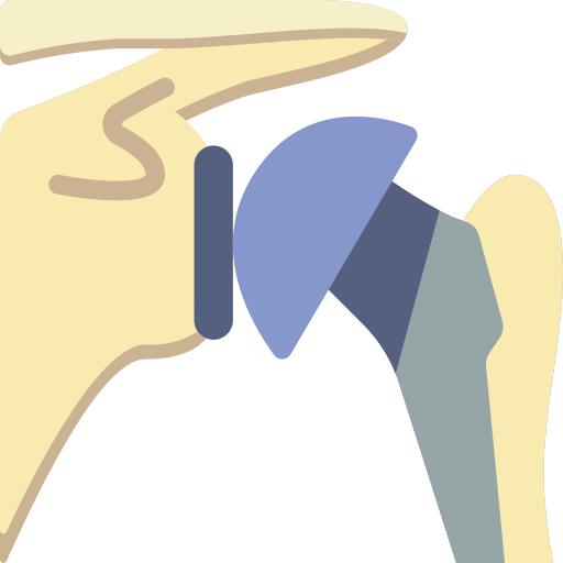 Shoulder