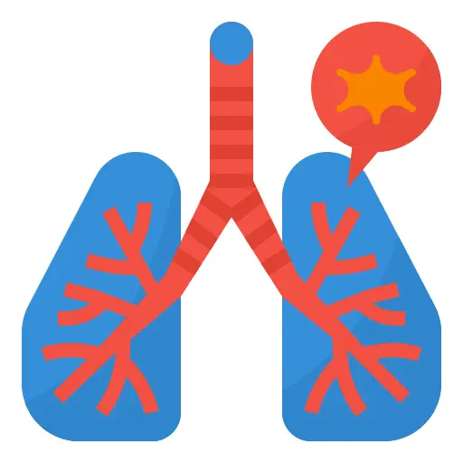 Lungs