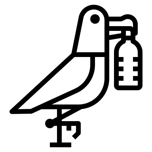 Seagull