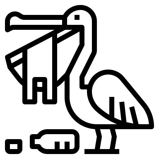 Pelican