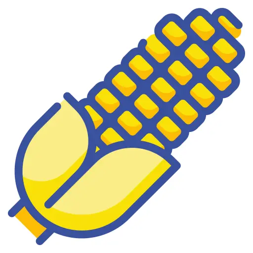 Corn