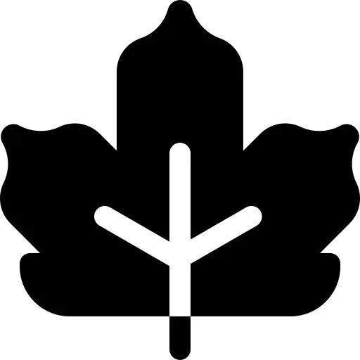 Maple leaf