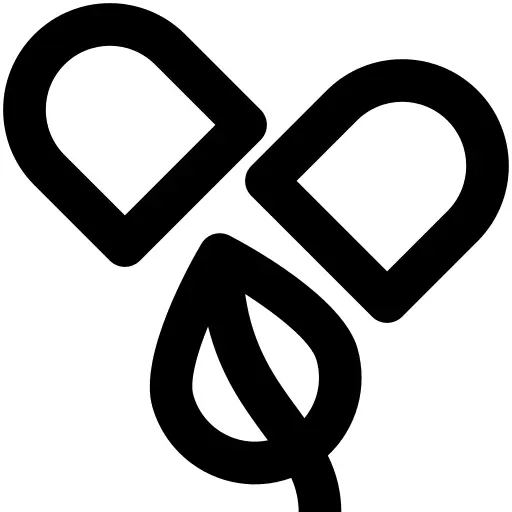 丸