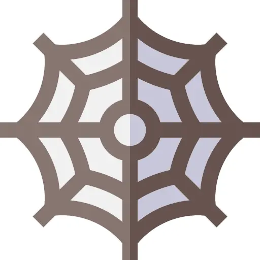 Spider web