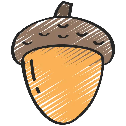 Acorn