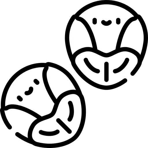 Brussel sprouts