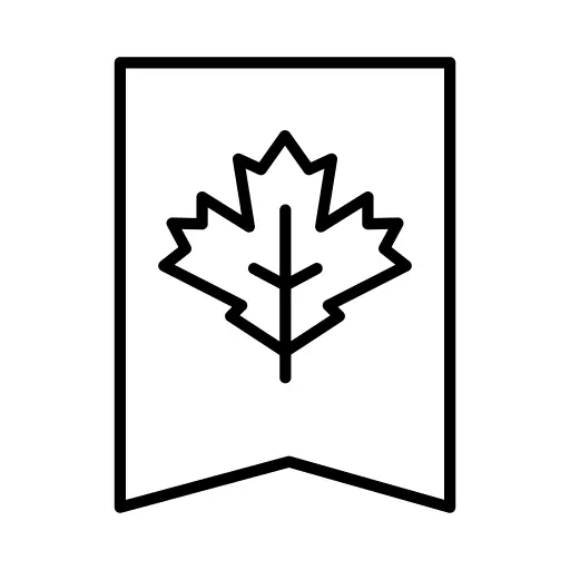 Maple leaf