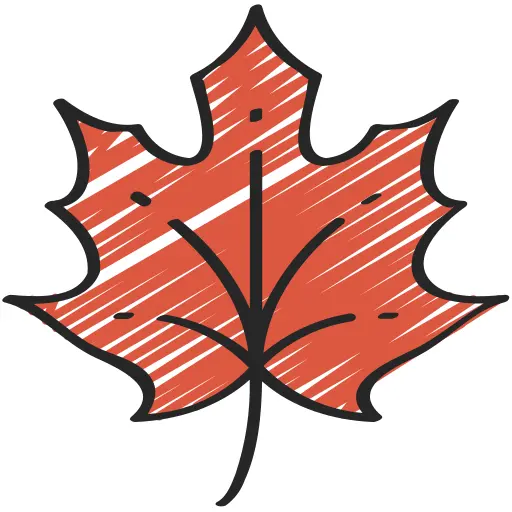 Maple leaf