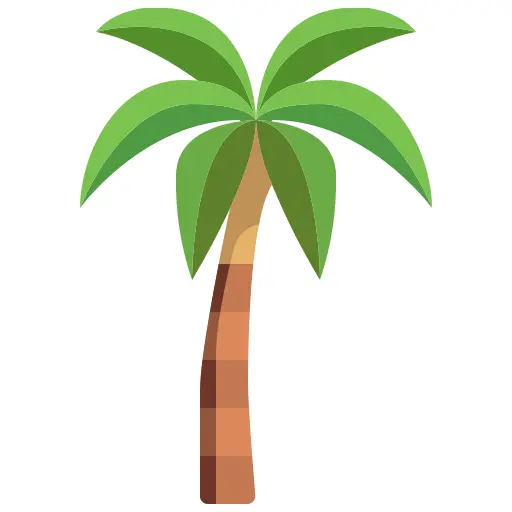 Coconut tree