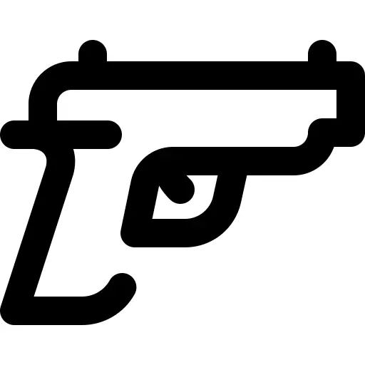 Gun