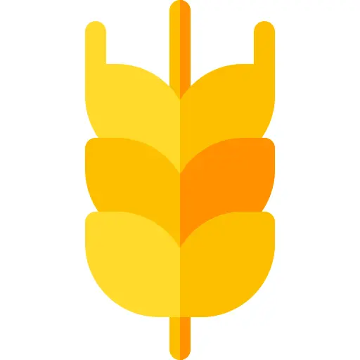 Wheat