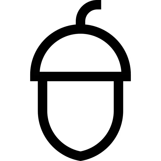 Acorn
