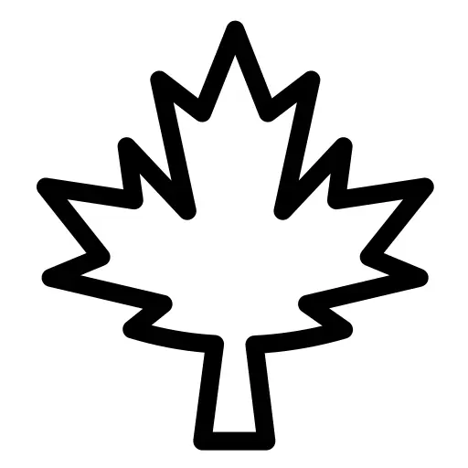 Maple leaf