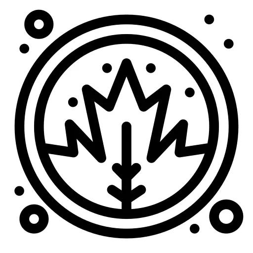 Maple leaf