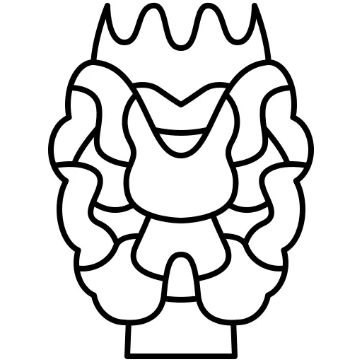 Thyroid gland