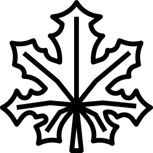Maple leaf