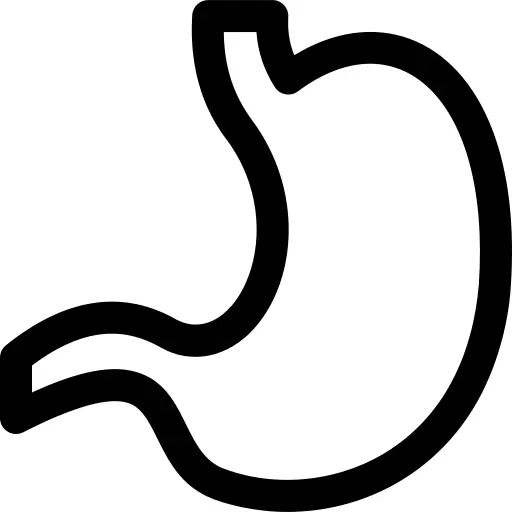 Stomach