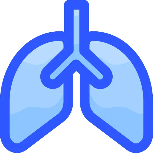 Lungs