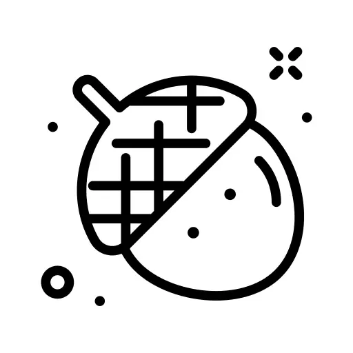 Acorn