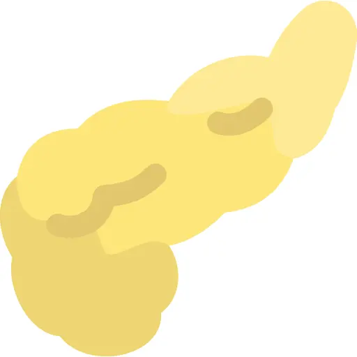 Pancreas