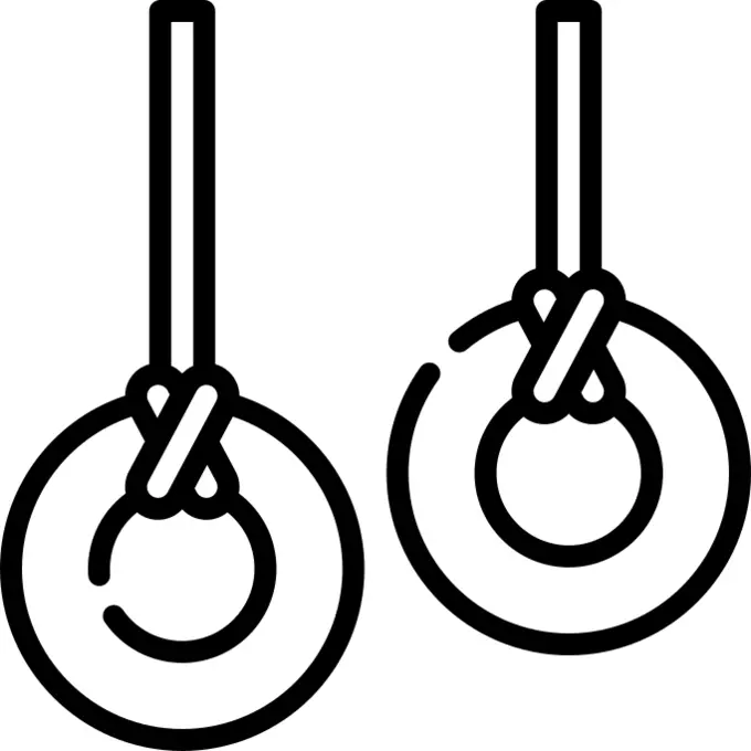 Gymnastic rings
