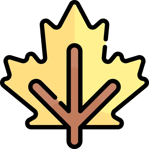 Maple leaf