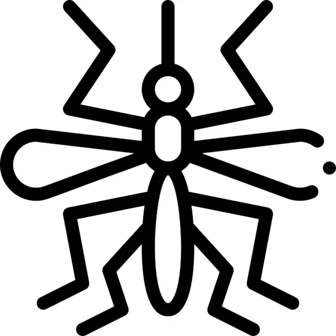 Mosquito