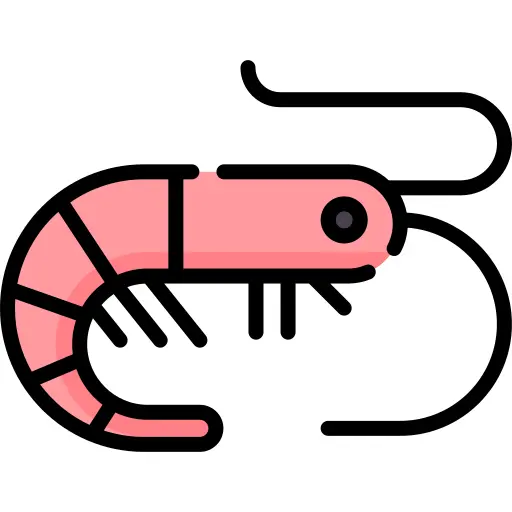 Shrimp