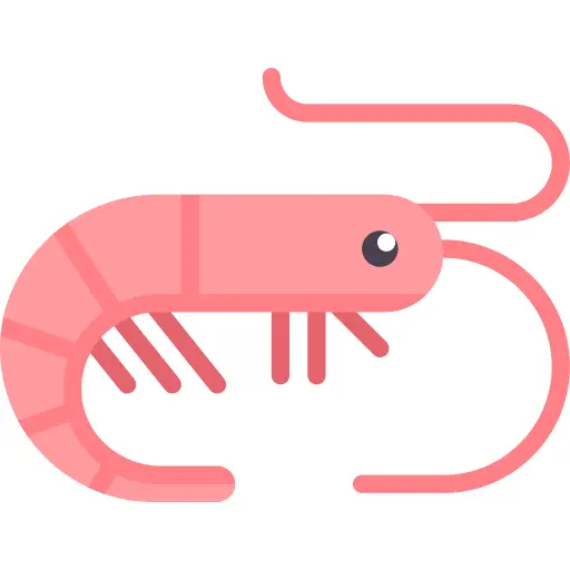 Shrimp
