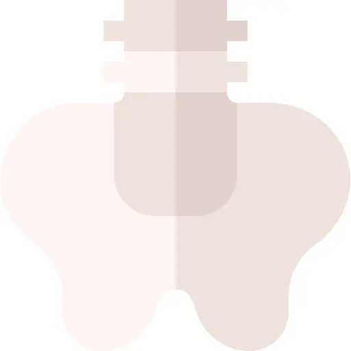 Pelvis