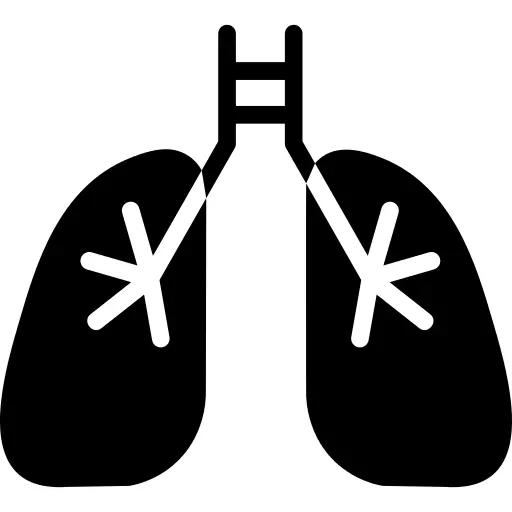 Lungs