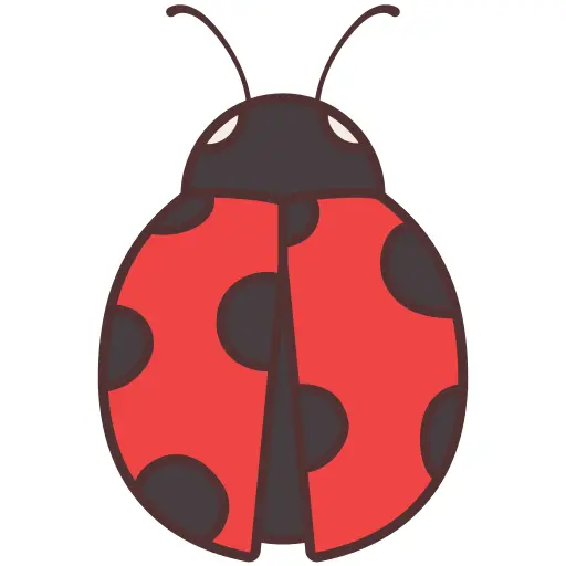 Ladybug