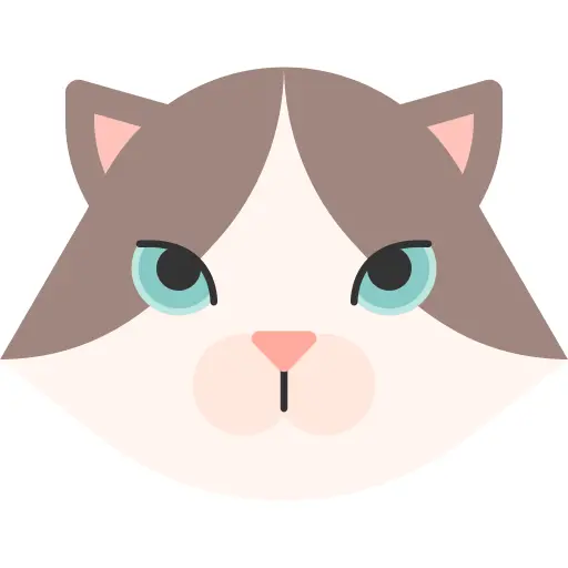 Ragdoll cat