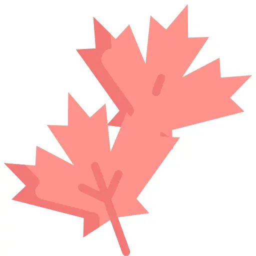 Maple leaf