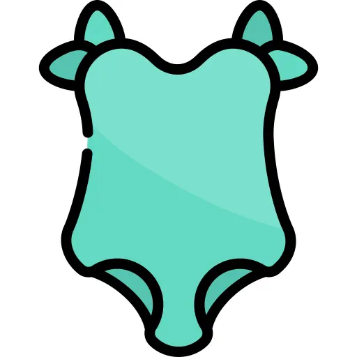 Swimsuit