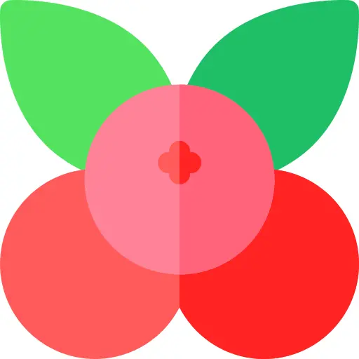 Cranberry