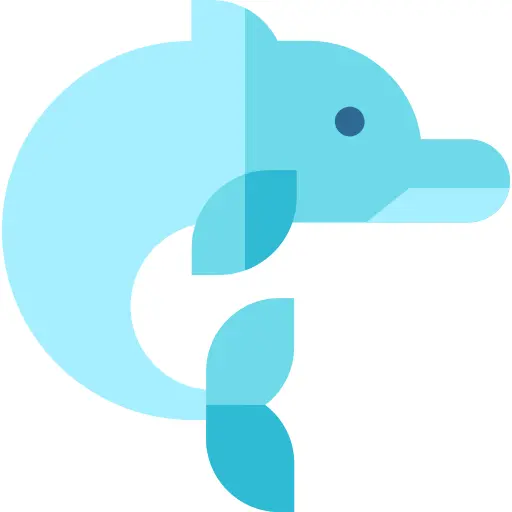 Dolphin