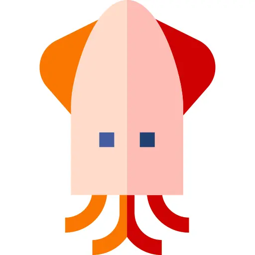 Squid